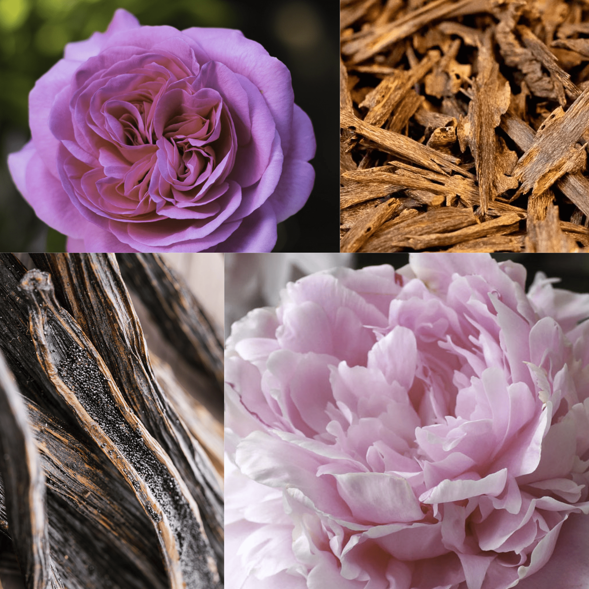 What does Rose Oud smell like?