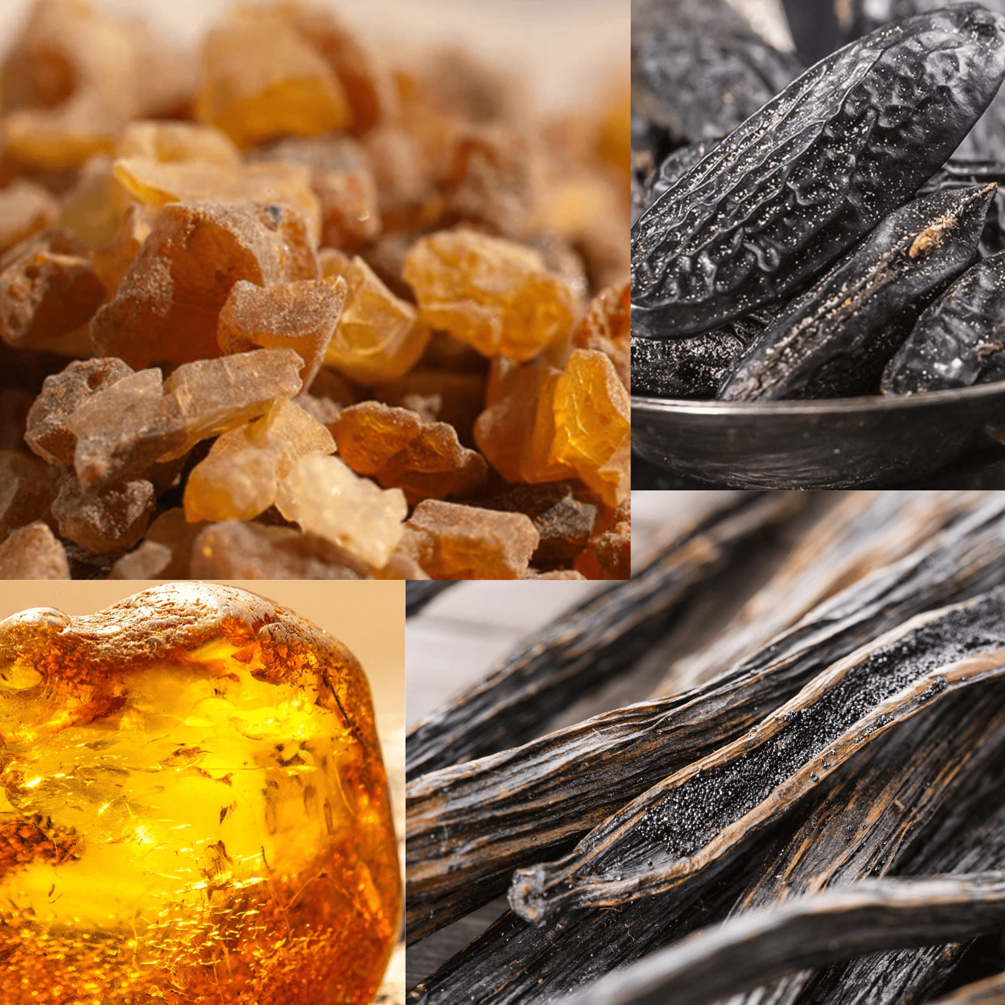 What does Myrrh & Tonka smell like?